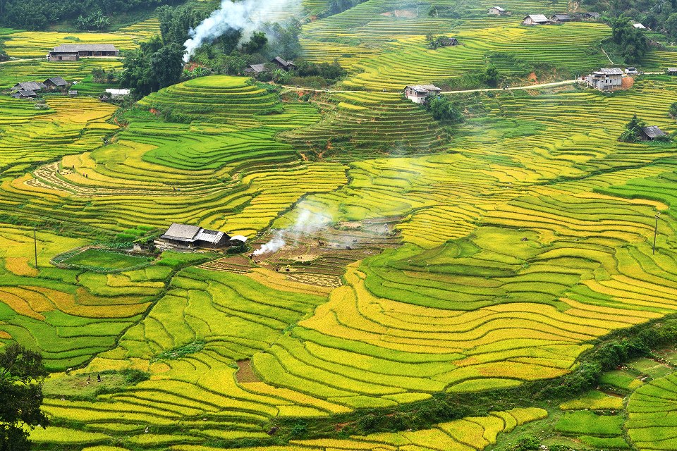 Hà Nội Lào Cai Sapa Cát Cát 2 Ngày 3 Đêm