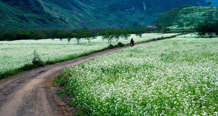 Hà Nội Mù Cang Chải Sapa 5 ngày 4 đêm