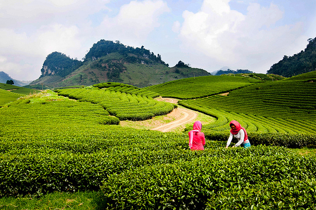 Hà Nội Sapa Điện Biên Mộc Châu 5 Ngày 4 Đêm | Du Lịch Miền Bắc