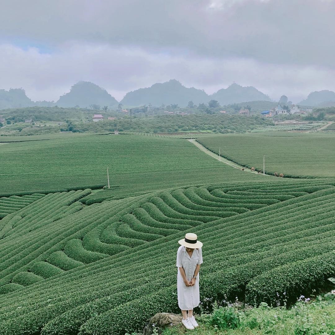 Hà Nội Mộc Châu 2 Ngày 1 Đêm - Oto