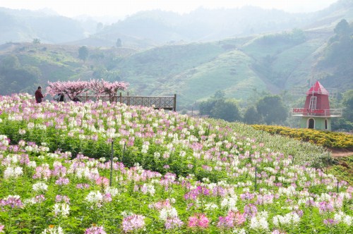 Hà Nội Sapa Điện Biên Mộc Châu 5 Ngày 4 Đêm | Du Lịch Miền Bắc