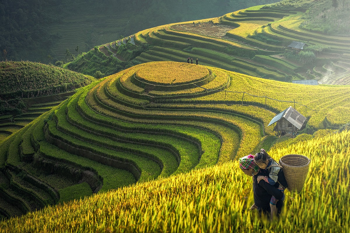 Hà Nội Ngọc Chiên Mù Cang Chải Sapa 5 Ngày 4 Đêm