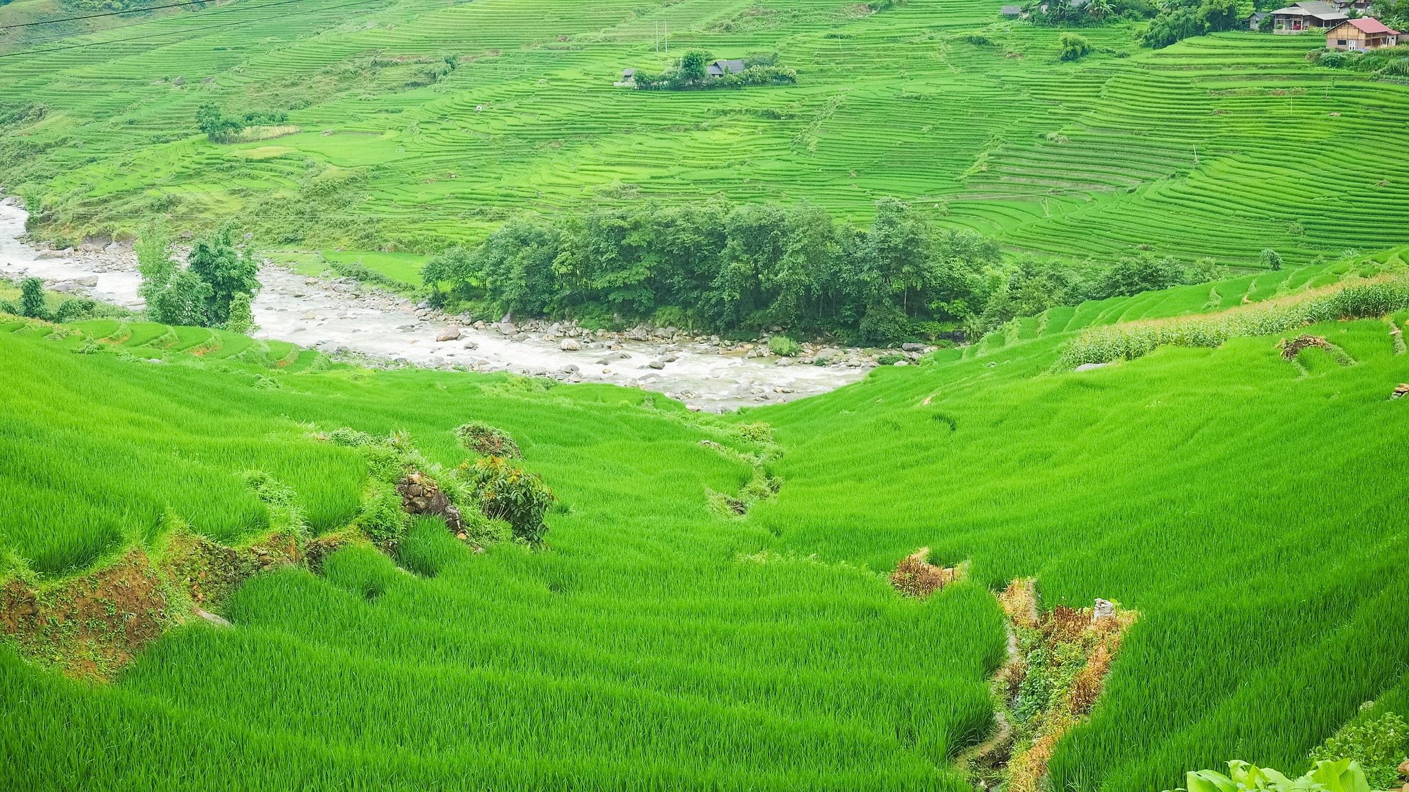 Hà Nội Lào Cai Sapa Cát Cát 2 Ngày 3 Đêm