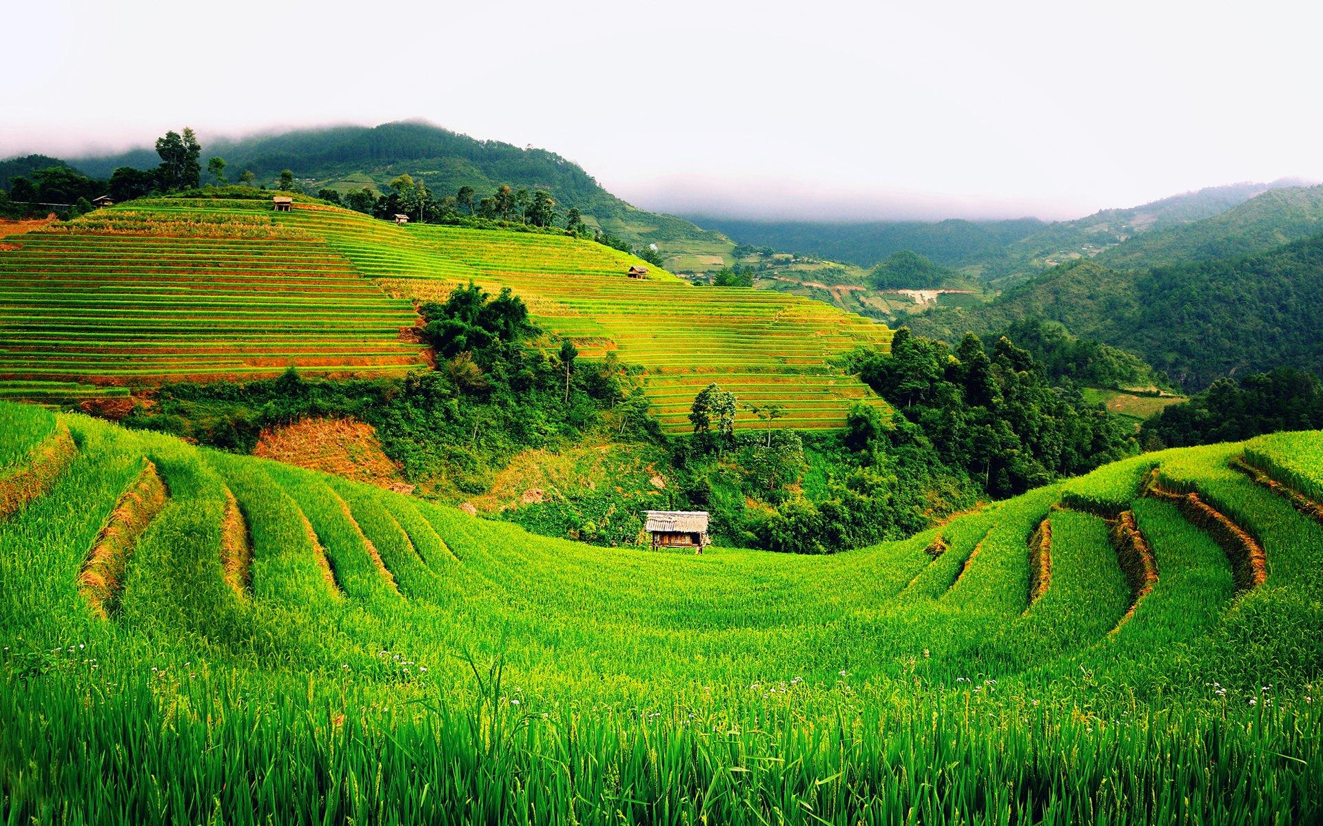 Đến Hà Giang nhất định phải ghé thăm những địa điểm này